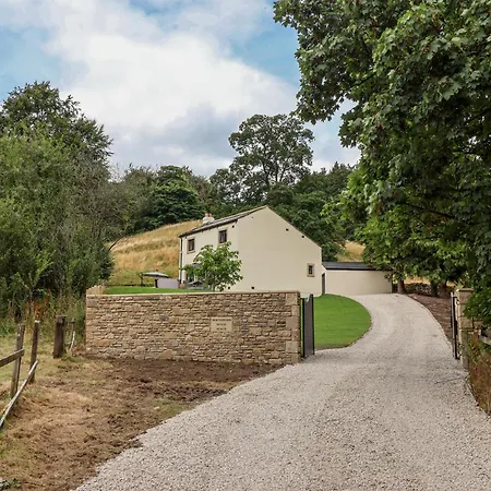 Wood Tatil Evi